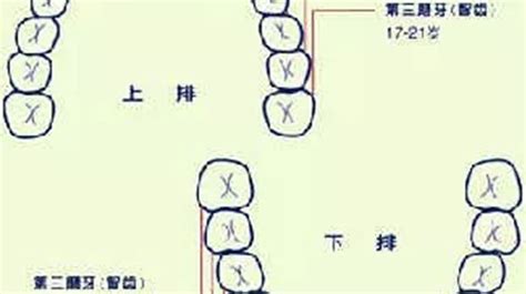 門牙 面相|面相大全——牙齒